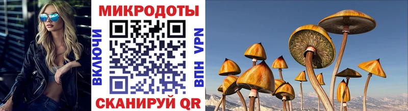 Псилоцибиновые грибы ЛСД  Купить где  Петровск 